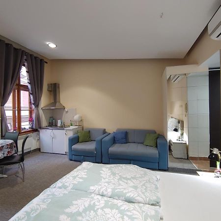 Apartment Danijela-City Centar Belgrade Extérieur photo